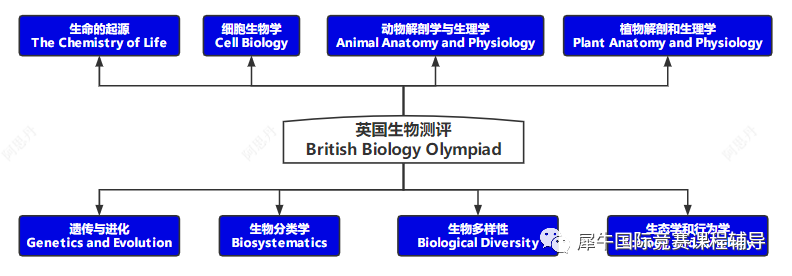 BBO競(jìng)賽