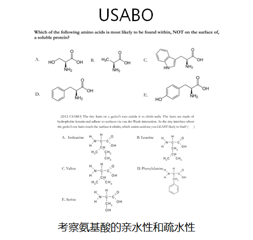 BBO生物奧賽