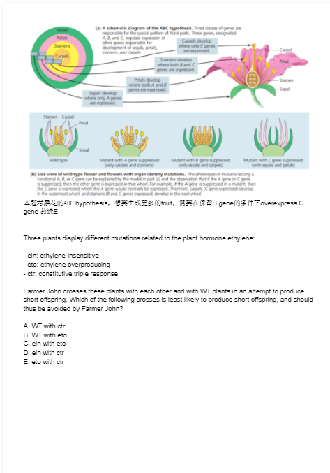 USABO生物競賽,USABO美國生物奧賽,USABO生物競賽輔導(dǎo)課程,USABO生物競賽考察內(nèi)容,BBO國際生物競賽,BBO備考書籍,BBO培訓課程,BBO國際生物競賽,BBO備考書籍,BBO培訓課程,