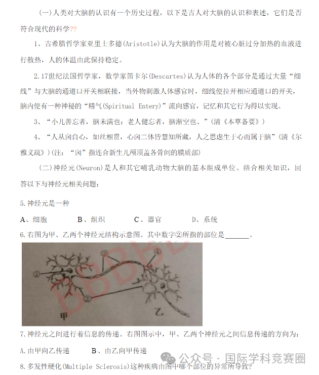 Brain Bee腦科學競賽