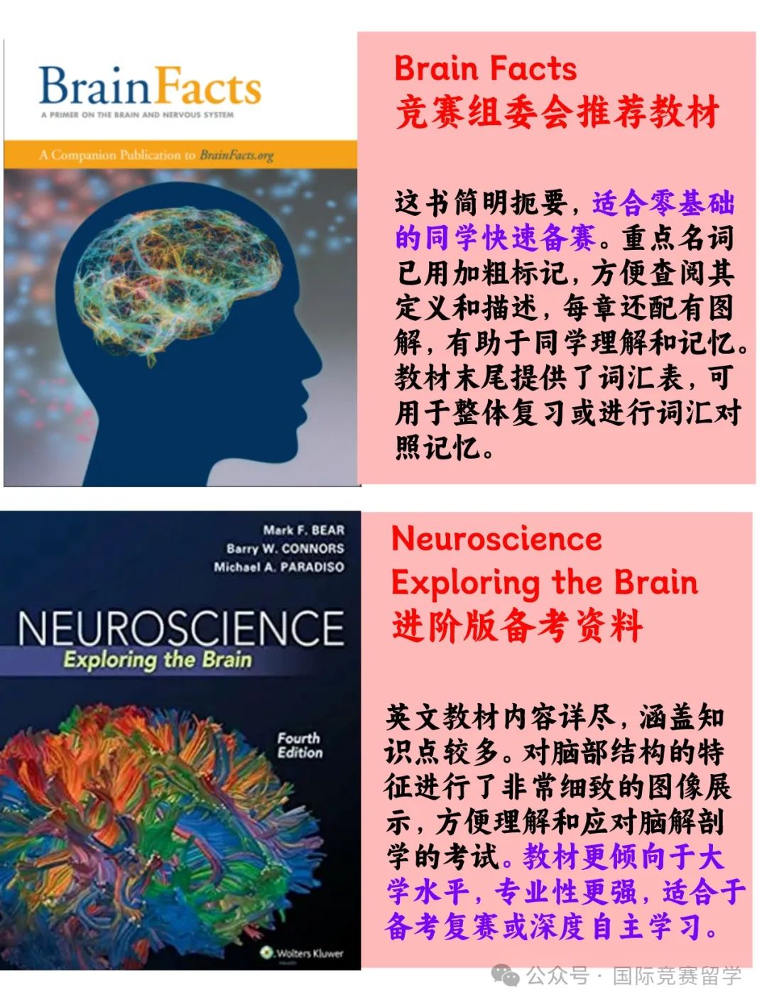 Brain Bee腦科學(xué)大賽