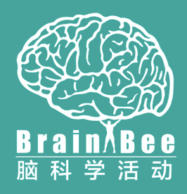 Brain Bee競賽,Brain Bee生物競賽,Brain Bee輔導(dǎo),Brain Bee培訓(xùn)班,BrainBee腦科學(xué)大賽,