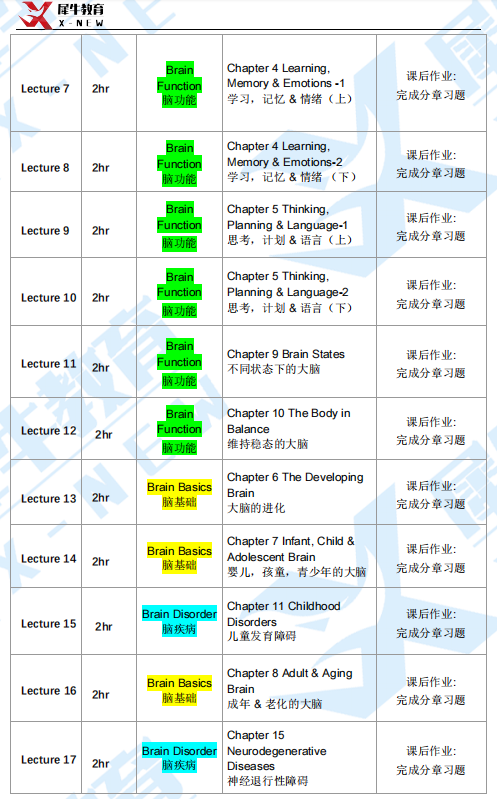 Brain Bee腦科學(xué)活動(dòng)