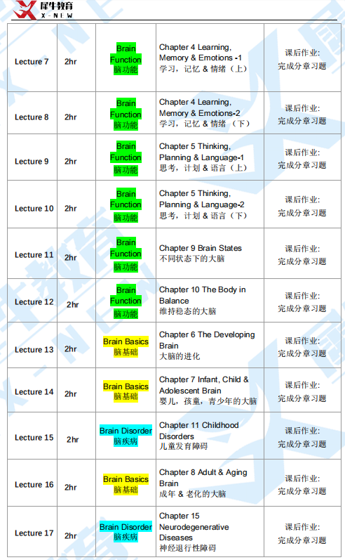 BrainBee腦科學競賽