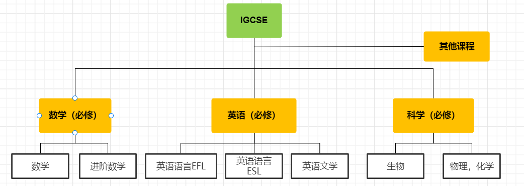 IGCSE課程