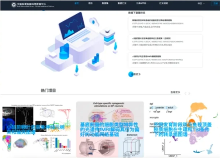 Brain Bee腦科學(xué)生物競(jìng)賽