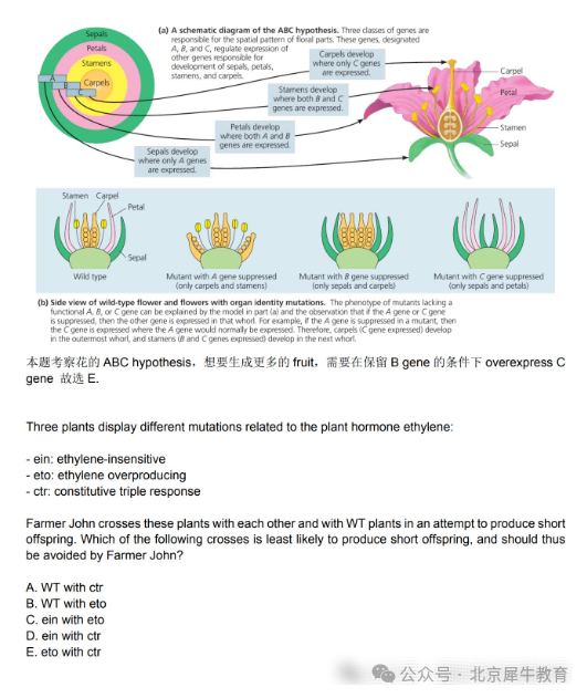 BBO生物競賽