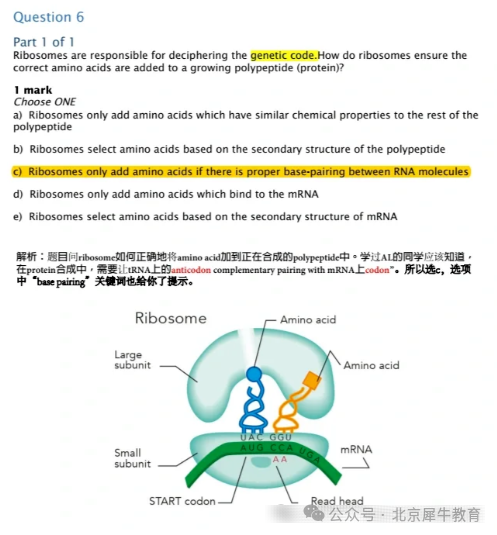 BBO生物競賽