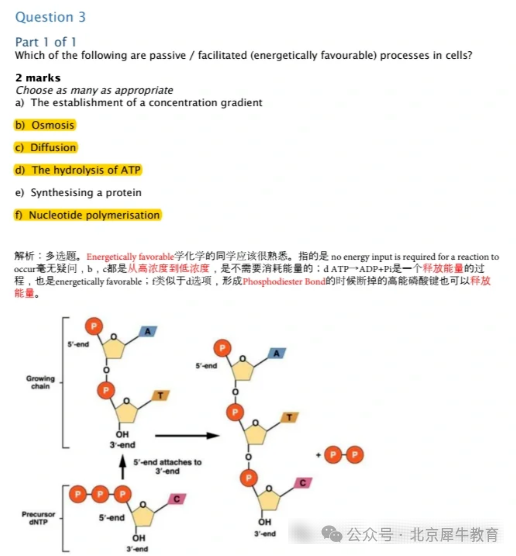 BBO生物競賽