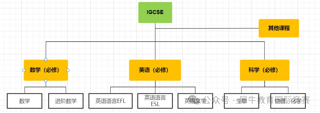 IGSCE課程