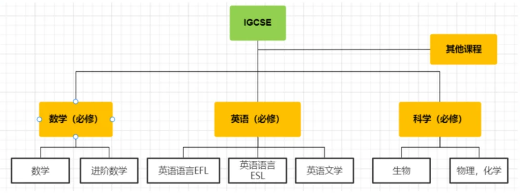 IGCSE課程