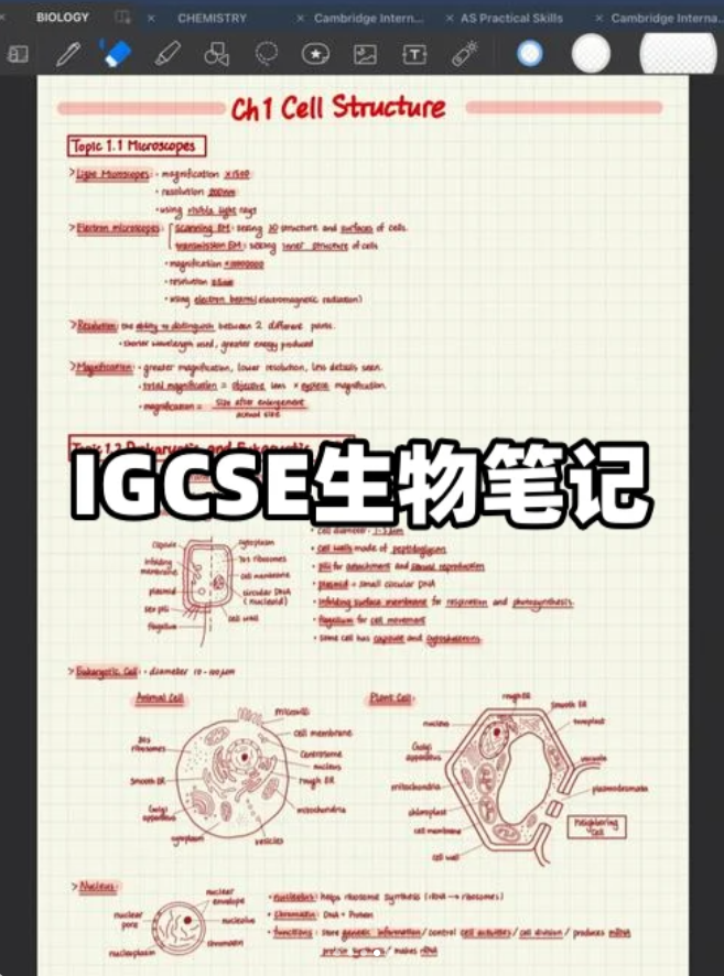 IGCSE課程