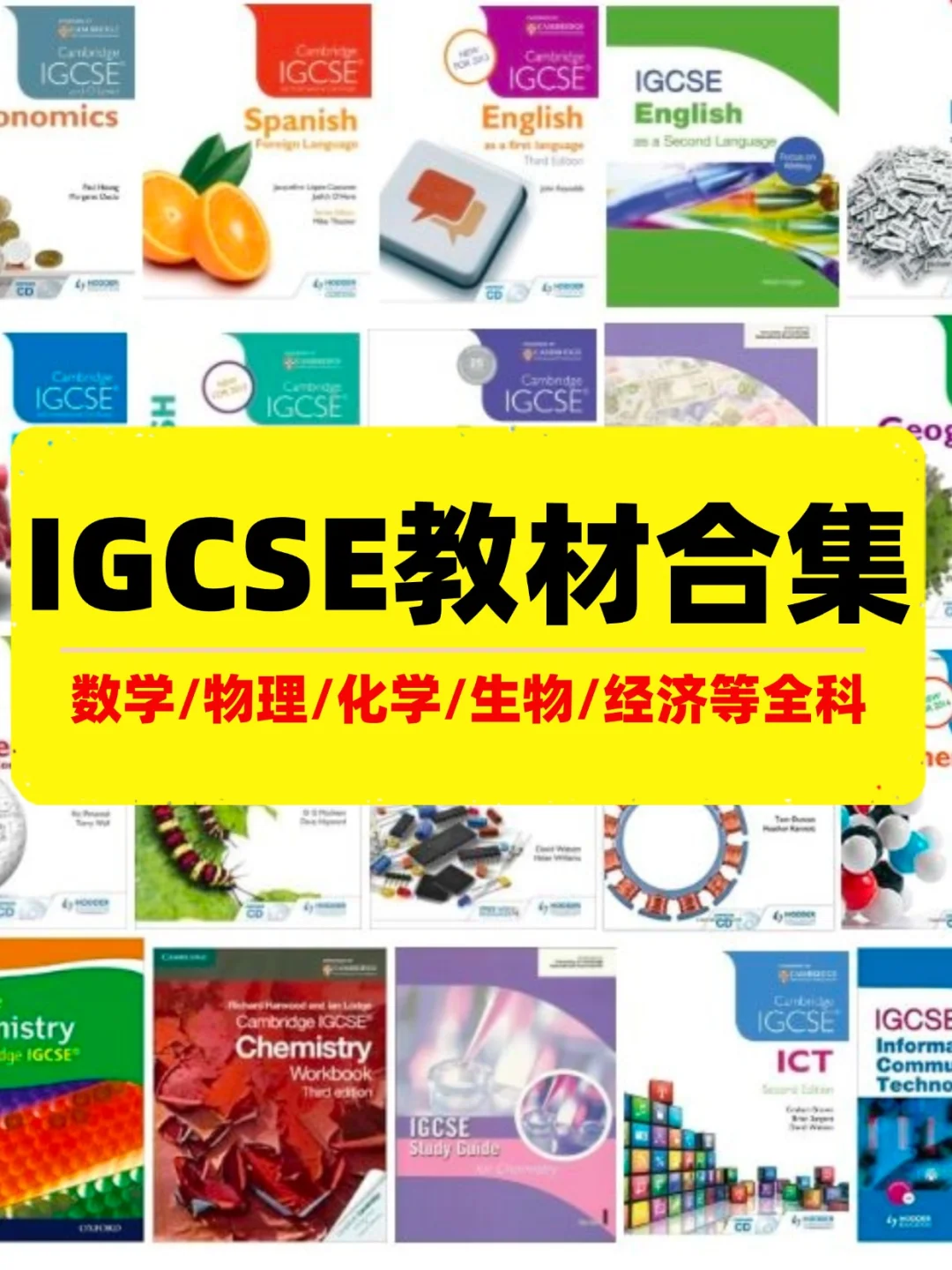 IGCSE/ALevel課程暑假預(yù)習(xí)強(qiáng)化班
