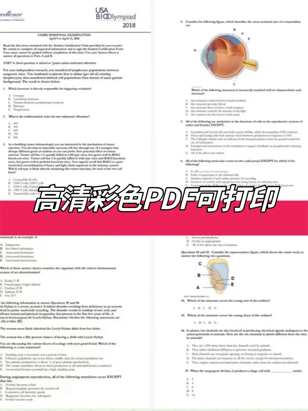 生物競(jìng)賽界雙翹楚！USABO＋BBO近30套真題放送_4_Andy學(xué)長(zhǎng)競(jìng)賽留學(xué)_來(lái)自小紅書網(wǎng)頁(yè)版.jpg