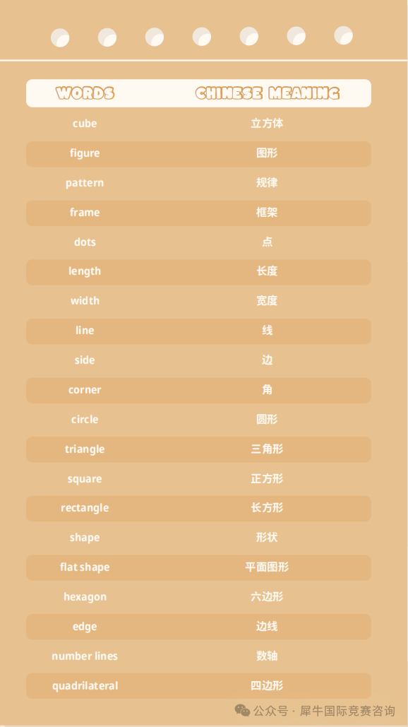 袋鼠