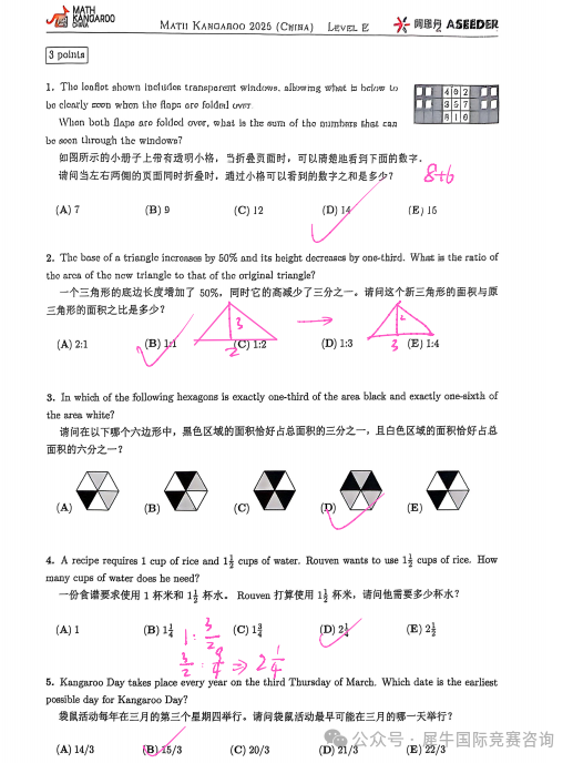 袋鼠