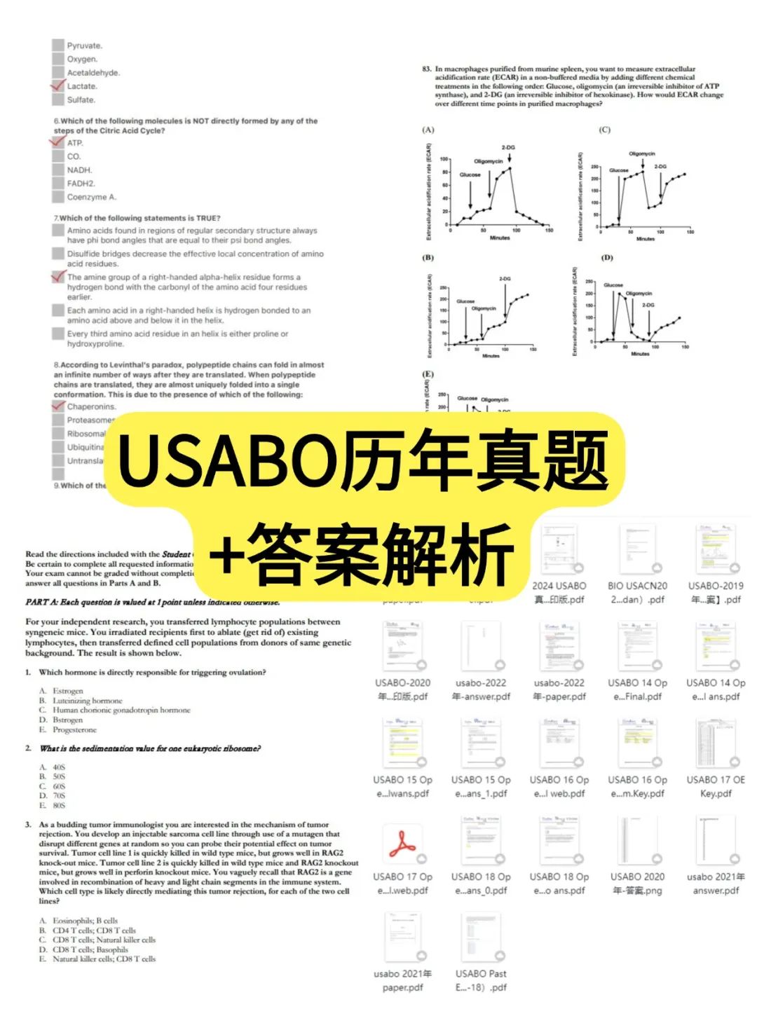 USABO